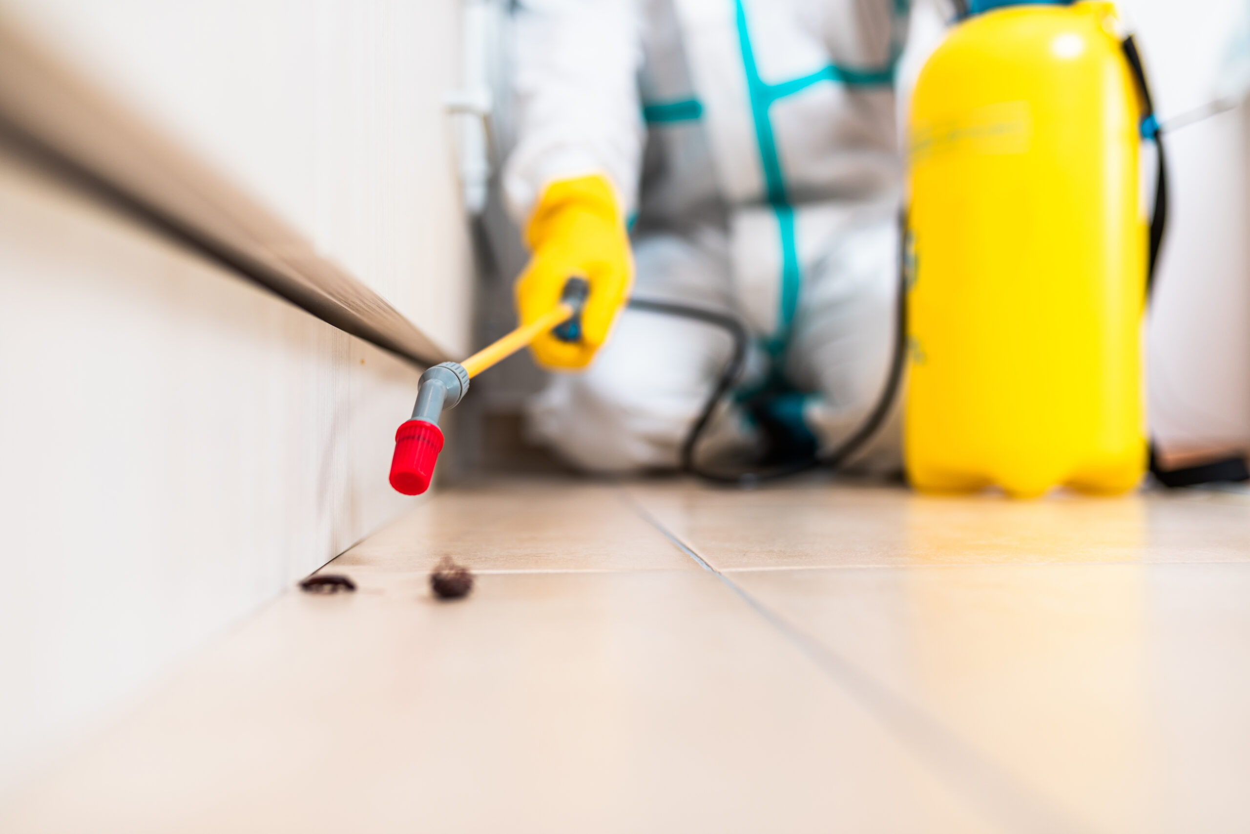 Florida Pest Control Treatment